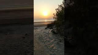 Diveagar || Sunset View || Cocohut resort