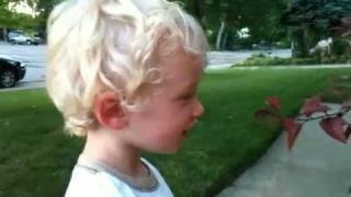 2 Year Old rendition of do re mi.