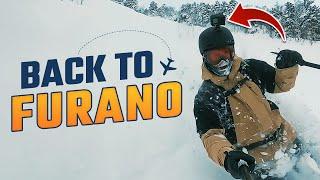 Back to Furano - Japan powder skiing Vlog