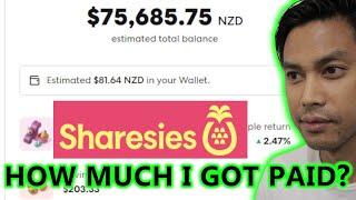 How much Dividends I got in July 2024  Sharesies NZ Dividend Portfolio