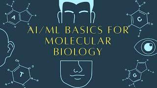 AI / ML Basics For Molecular Biology 