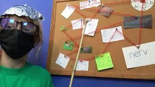 WORMS. (Conspiracy Theories with Abcde)