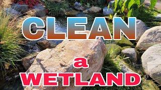  Pro Tip | How to CLEAN a Recreational Swim Pond WETLAND FILTER - Fast and Easy 