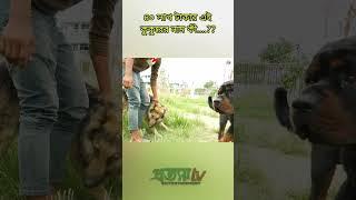 #feni #public #virals #family #fenian #foryou #newsupdate #town #bangladesh #everyone