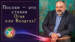 Как связаны Стихии и Масти Таро? Посохи - почему у авторов разная система значений? | Школа Таро 18+