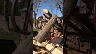 Making It Easy‼️ #firewood #easy