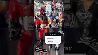 LJN Brothers of Destruction vs Demolition