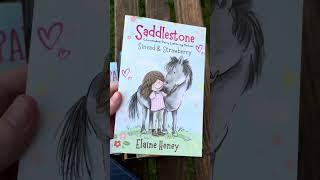 Pony books for kids  #️ #ad #elaineheney #horseriding #horses #horsebook #horsebooks