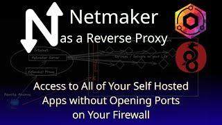 Create a Reverse Proxy for self hosted services using Netmaker and Wireguard!