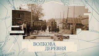 Волкова деревня / «Малые родины большого Петербурга»