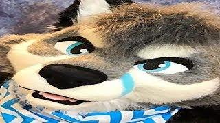 furry yiff yiff