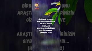 Ölü Eti Yemek mi? Hucurat Suresi 12. Ayeti Gıybet Ve Dedikodu.