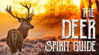 The Deer Spirit Guide - Ask the Spirit Guides Oracle Totem Animal - Power Animal - Magical Crafting