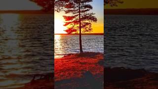 J.S.Bach -Concerto No.1 In A Minor For Violin And String Orchestra BWV 1041.I.Allegro Moderato
