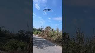 @MACVELER #viral #GLT #art #music #natura #traveller #hiking #mountains #song #natura