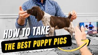 How To Take The Best Puppy Pictures