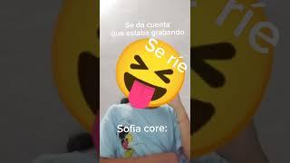 Sofia core: