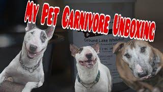 My Pet Carnivore Unboxing!