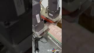 Lot Number Stamping by Blue Line Labels