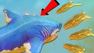 МЕГАЛОДОН ПРОТИВ 100 ПРОГНАТОДОНОВ, БИТВА АКУЛ | Feed and Grow Fish