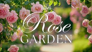 Rose Garden • Melodic Piano Instrumental Music • Beautiful TV Background • Quintessential Home