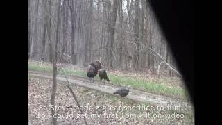 St Elmo Turkey Hunt 2014