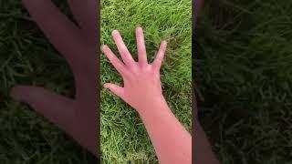 Gamer Touches Grass