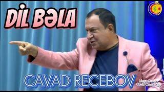 Cavad Recebov || Dil Bela || Ibo Sov || 2024 -