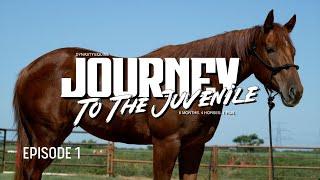 Journey To The Juvenile | Episode 1