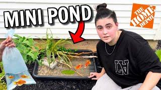 I Built a $20 HOME DEPOT BACKYARD MINI POND *CHALLENGE*! (EASY DIY POND)