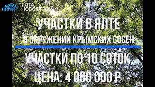 Участки в Ялте в окружении крымских сосен за "Поляной Сказок"