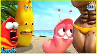 LARVA SEASON 1 EPISODE 162 ~ 274 NEW CARTOON COMEDY 2024LARVA CARTOONS - COMICS| LARVA OFFICIAL HD