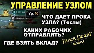 BDM: УПРАВЛЕНИЕ УЗЛАМИ. Гайд и тесты. Качать или нет? Рабочие в Black Desert Mobile (БДМ)