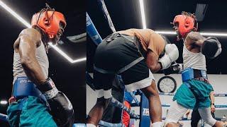 (WOW) Shakur Stevenson KNOCKED OUT Keyshawn Davis in SPARRING • Gervonta Tank Davis Claims