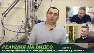 Реакция на видео "Клонирование элитных дрожжей в домашних условиях".Виталий Моторин | Сергей Матвеев