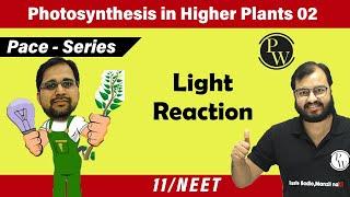 Photosynthesis in Higher Plants 02 | Light Reaction I Class 11 l Pace Series