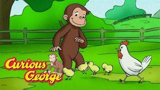 George Loves the Farm  Curious George  Kids Cartoon  Kids Movies