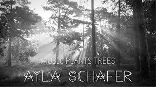 Ayla Schafer - Music Plants Trees