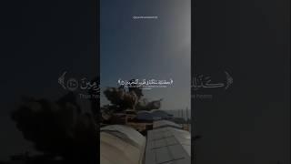 stand with palstine| Free palstine| Muslim News #qurantranslationhdr