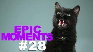 Epic Moments Like a Boss Best compilati0ns #28