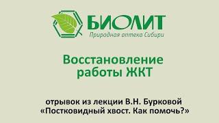 Восстановление работы ЖКТ. Отрывок из лекции В.Н. Бурковой «Постковидный хвост»