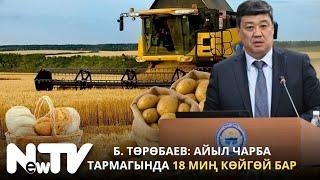 Б. Төрөбаев: Айыл чарба тармагында 18 миң көйгөй бар