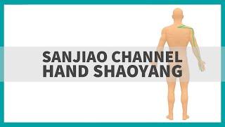 TCM Anatomy: The Sanjiao Channel of Hand Shaoyang