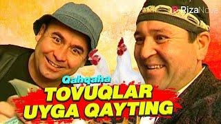 Qahqaha - Tovuqlar uyga qayting (hajviy ko'rsatuv)