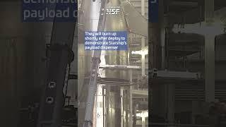 This Starship Flight Has SimLinks!