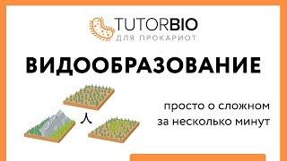 Видообразование: географическое и экологическое за 10 минут