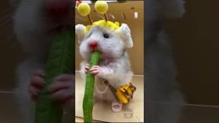 Crazy facts about animals  #shorts #facts #animals