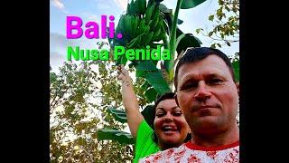 #Топ достопримечательностей Бали #Bali 2024 / субтитры #индонезия #monkey #Nusa Penida