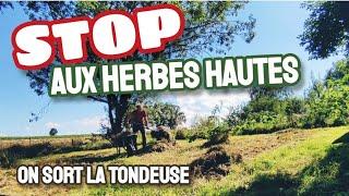 STOP !!! Aux HERBES HAUTES ! On sort la tondeuse que ça plaise ou non