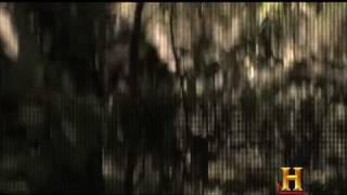 MonsterQuest Swamp Stalker Commercial